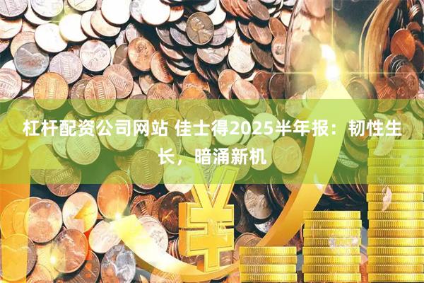 杠杆配资公司网站 佳士得2025半年报：韧性生长，暗涌新机